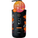 いち髪 濃密 W保湿ケア コンディショナー ポンプ 480g