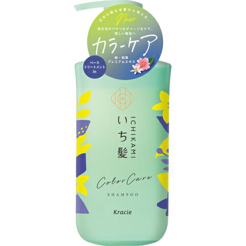 いち髪　カラーケア＆ベーストリートメントinシャンプー　ポンプ　480ml