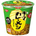 日清食品 日清キーマカレーメシ スパイシー 105g×6個