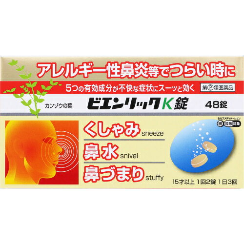 【第(2)類医薬品】ビエンリックK錠　48錠【セルフメディケーション税制対象】