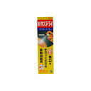 【第2類医薬品】新キズドライパウダースプレー 50g