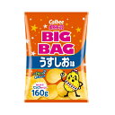 カルビー ビッグバッグ ポテトチップス うすしお味 160g×12個