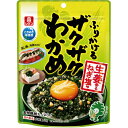 理研 ザクザクわかめ生姜香るねぎ塩味 50g×6個