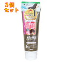 テンスター ヘナ カラートリートメント アッシュダークブラウン 250g×3個【6a】