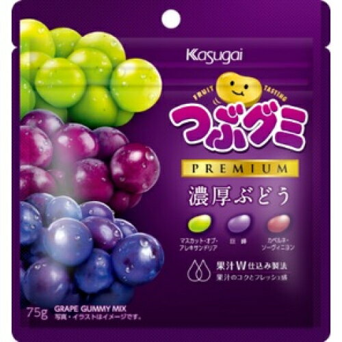 春日井製菓　つぶグミPREMIUM濃厚ぶどう　75g×10個のサムネイル