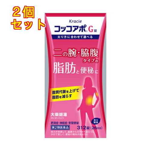 【第2類医薬品】コッコアポG錠　312錠×2個