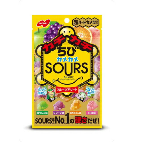 カチカチちびカメカメサワーズグミ　フルーツアソート　70g×6個