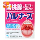 【第3類医薬品】小林製薬 ハレナース 9包×5個