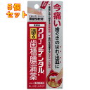 【第3類医薬品】クリーンデンタルN 歯槽膿漏薬 16g×5個