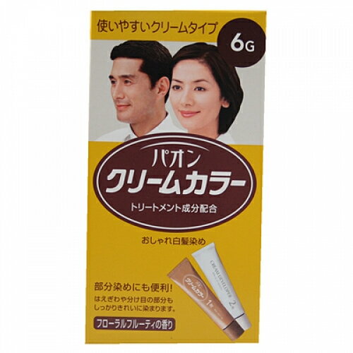 ڰʡۥѥ󡡥꡼५顼6G