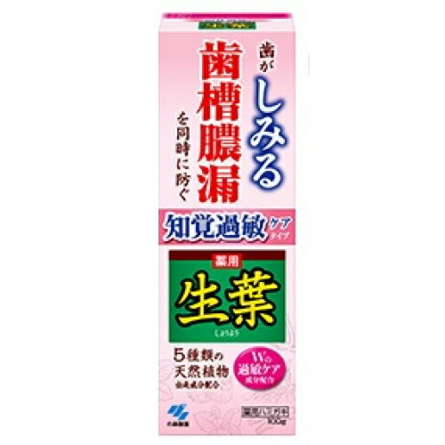 【医薬部外品】生葉 知覚過敏症状予防タイプ 100g
