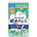 チャームナップ　吸水さらフィ　パンティライナー　消臭タイプ　34枚入り