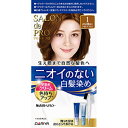 【医薬部外品】サロンドプロ 無香料ヘアカラー早染めクリーム1(かなり明るいライトブラウン)