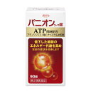 【第2類医薬品】パニオンコーワ錠 90錠