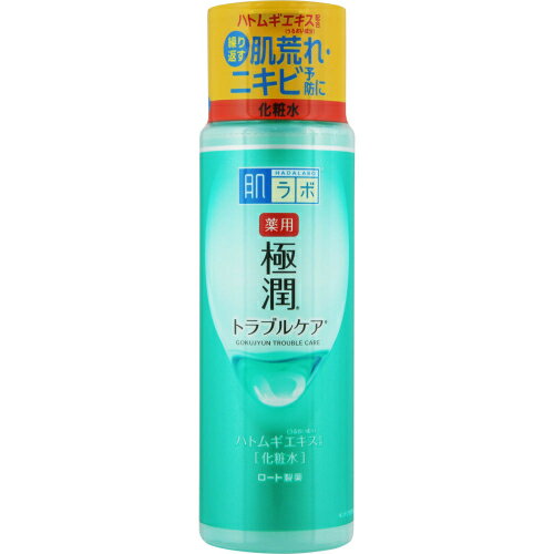 【医薬部外品】肌研 薬用極潤 スキンコンディショナー 170ml