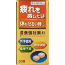 【第3類医薬品】皇漢堂 滋養強壮薬α 60錠