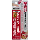 【第3類医薬品】クリーンデンタルN 歯槽膿漏薬 16g(4)