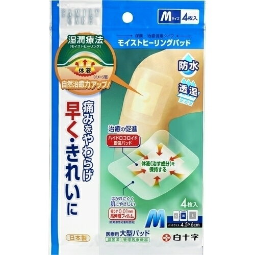 FC⥤ȥҡ󥰥ѥåɡM4