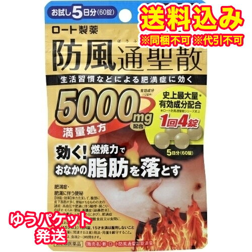 ゆうパケット) 第2類医薬品 新ロート防風通聖散錠満量60錠