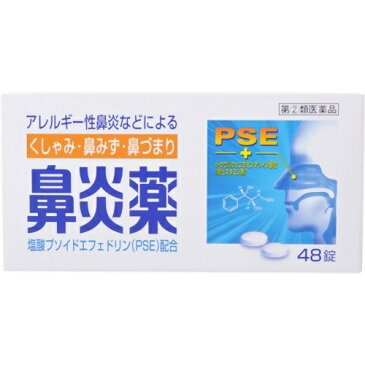 【第(2)類医薬品】鼻炎薬A クニヒロ 48錠