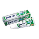 アース製薬株式会社 アース 新ポリグリップ 極細ノズル 40g