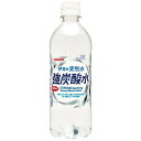 サンガリア　伊賀の天然水　強炭酸水　500ml×24個