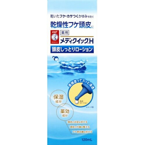 【医薬部外品】メディクイックH　頭皮しっとりローション　120ml