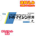 ゆうパケット)【第2類医薬品】ドルマイシン軟膏 12G