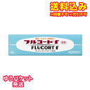 ゆうパケット)【第(2)類医薬品】フルコートF 10g