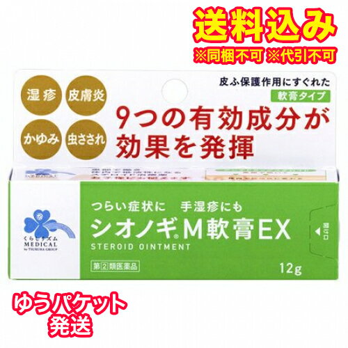 ゆうパケット）【第(2)類医薬品】くらしリズム メディカル シオノギM軟膏EX 12g【セルフメディケーション税制対象】 1