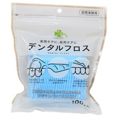くらしリズム　エビス　デンタルフロス　ようじタイプ　100本×5個