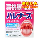 定形外)【第3類医薬品】小林製薬 ハレナース 9包
