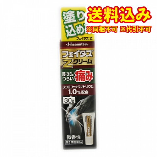 定形外）【第2類医薬品】フェイタスZ　クリーム　30g【セルフメディケーション税制対象】のサムネイル