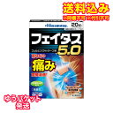 ゆうパケット）フェイタス5.0　20枚