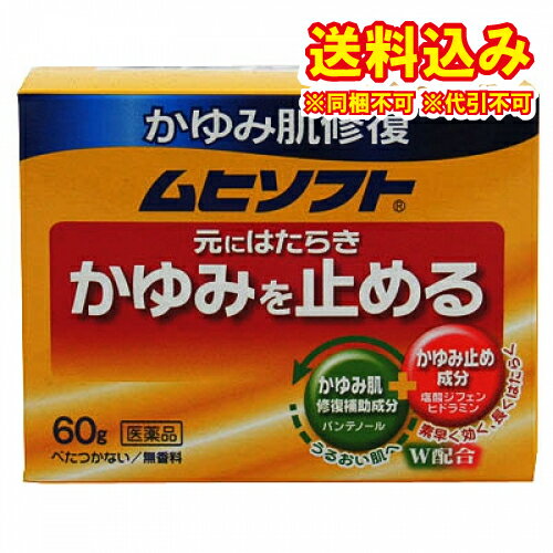 定形外）【第3類医薬品】かゆみ肌の治療薬　ムヒソフトGX　60g【セルフメディケーション税制対象】