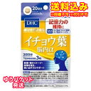 ゆうパケット)DHC イチョウ葉脳内α 20日分 60粒※取り寄せ商品 返品不可