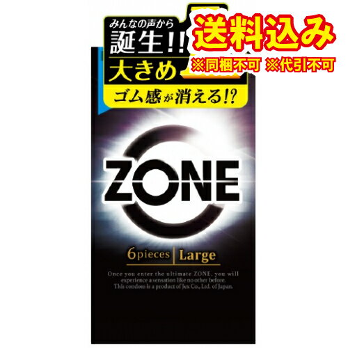 定形外）ZONE　6個　L