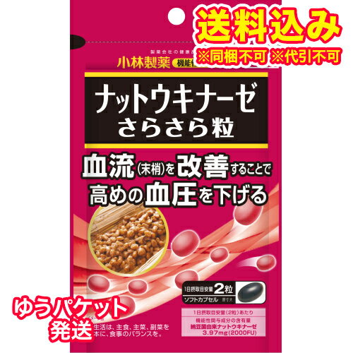 ゆうパケット）小林製薬　ナットウキナーゼ　さらさら粒　60錠