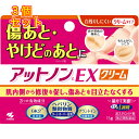 【第2類医薬品】アットノンC EX クリーム 15g×3個