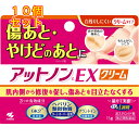 【第2類医薬品】アットノンC EX クリーム 15g×10個