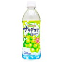 サンガリア　つぶつぶナタデココ入　白ぶどう　500ml×24個