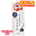 ゆうパケット)アイトーク 大人のまぶたコントロール 1.2g