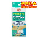 定形外)【医薬部外品】小林製薬 薬用ワキガード 50g