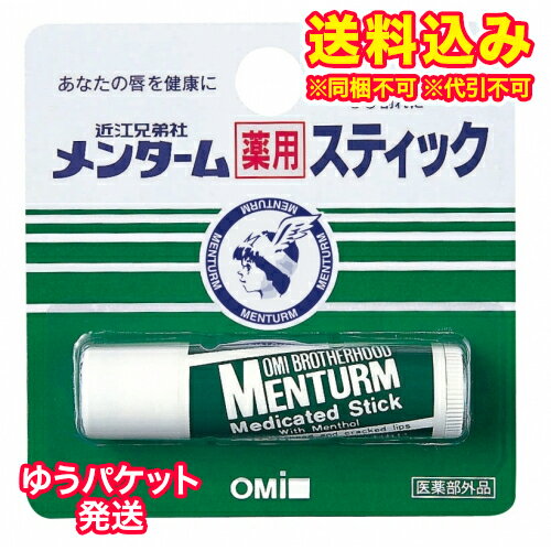 ゆうパケット）【医薬部外品】メンターム 薬用スティック レギュラー 4g