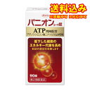 定形外)【第2類医薬品】パニオンコーワ錠 90錠