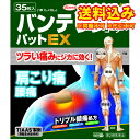 定形外）【第2類医薬品】バンテリンコーワパットEX　35枚【セルフメディケーション税制対象】