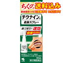 定形外）チクナインc　点鼻スプレー 　30ml