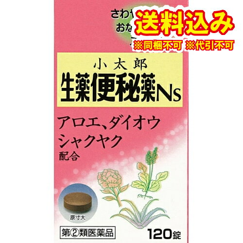 定形外）【第(2)類医薬品】小太郎漢方の生薬便秘薬Ns　120錠