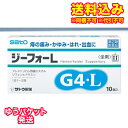 ゆうパケット)【第(2)類医薬品】ジーフォーL 10個入