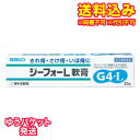 ゆうパケット)【第(2)類医薬品】ジーフォーL軟膏 20g